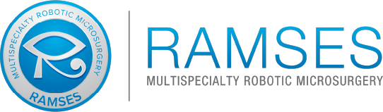 RAMSES logo